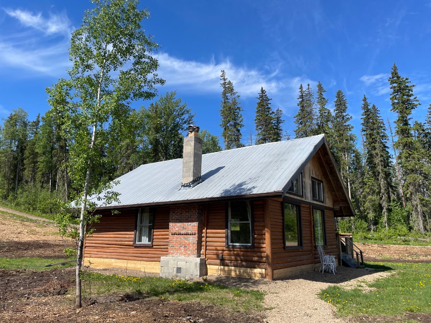 The log cabin with metal roof among the spruce and aspen