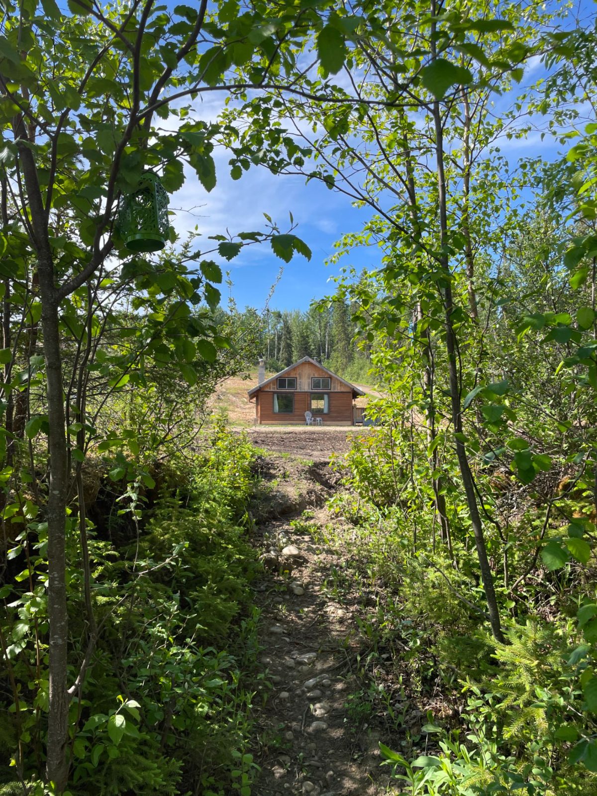 The path down through the trees to the cabin